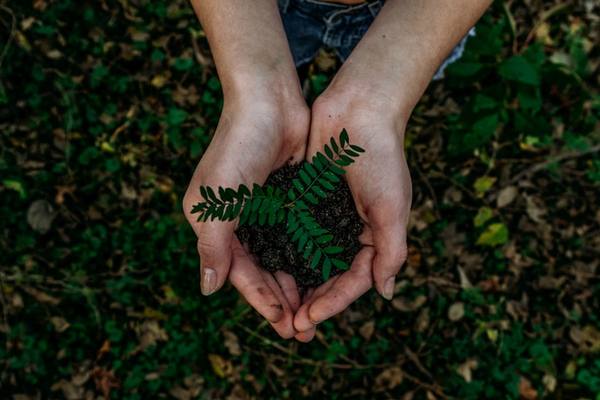 Environmental Specialist